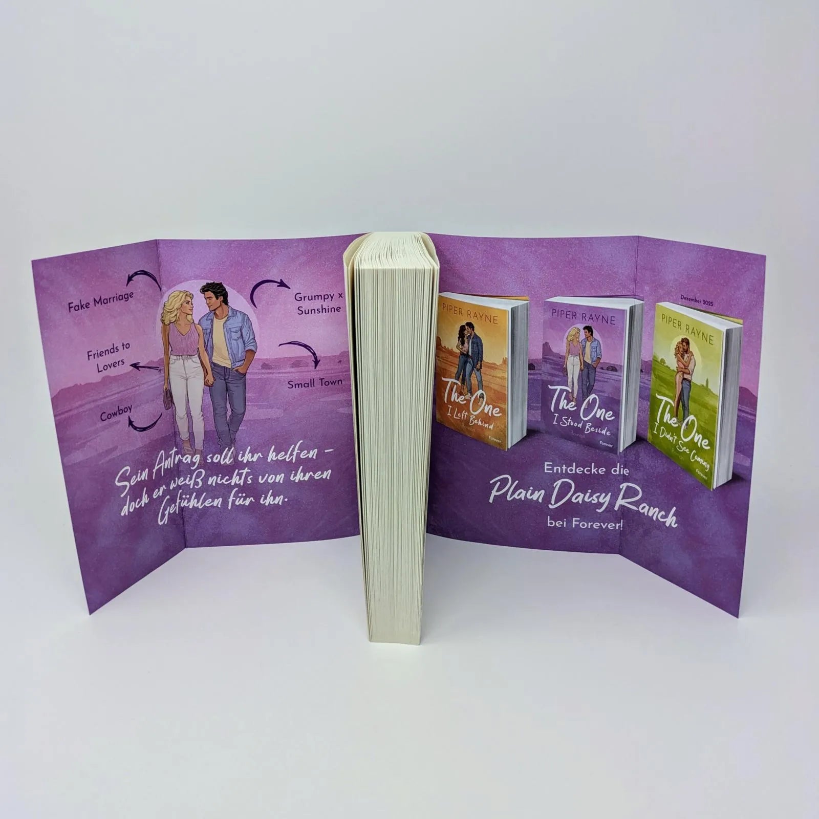 Abbildung von 'The One I Stood Beside'