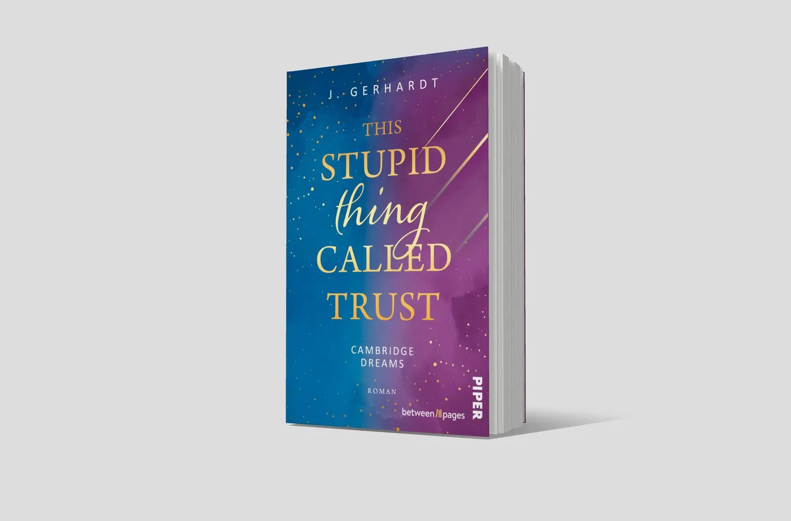 Abbildung von 'This stupid Thing called Trust'