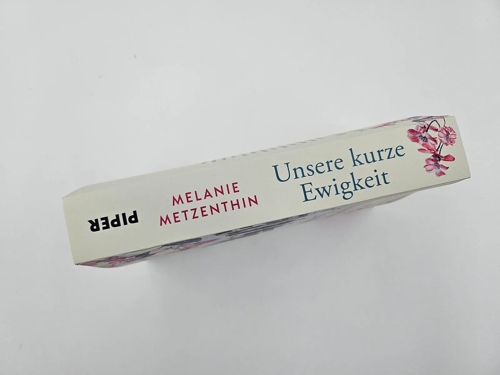 Abbildung von 'Unsere kurze Ewigkeit'