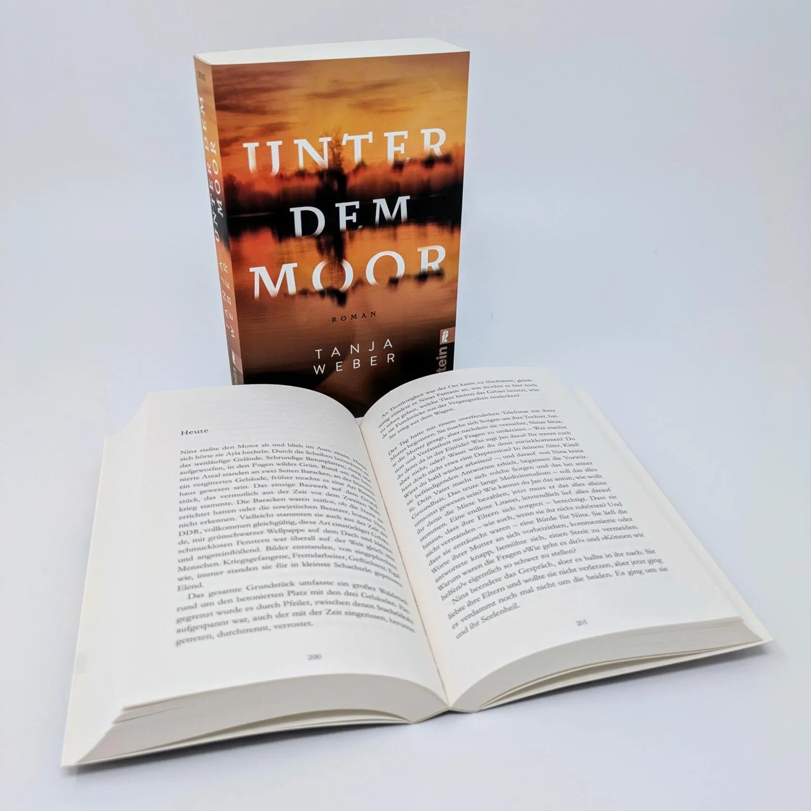 Abbildung von 'Unter dem Moor'