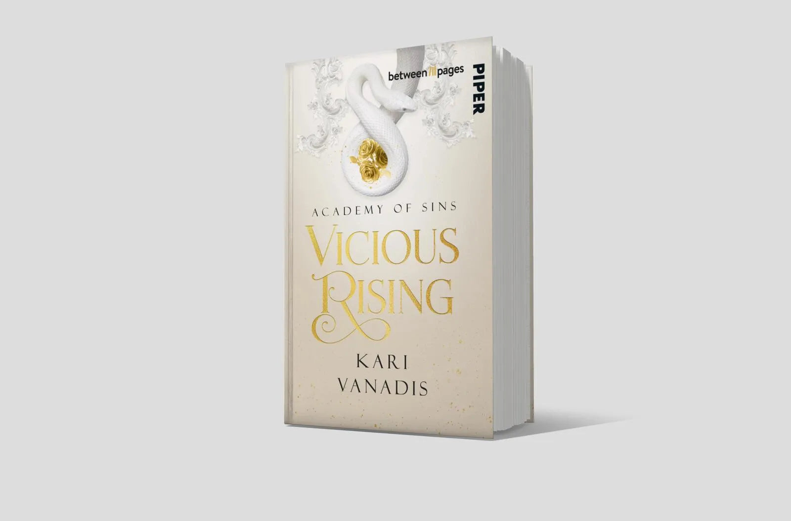 Abbildung von 'Vicious Rising: Academy of Sins'