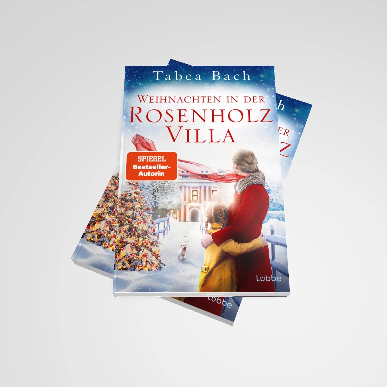 Abbildung von 'Weihnachten in der Rosenholzvilla'
