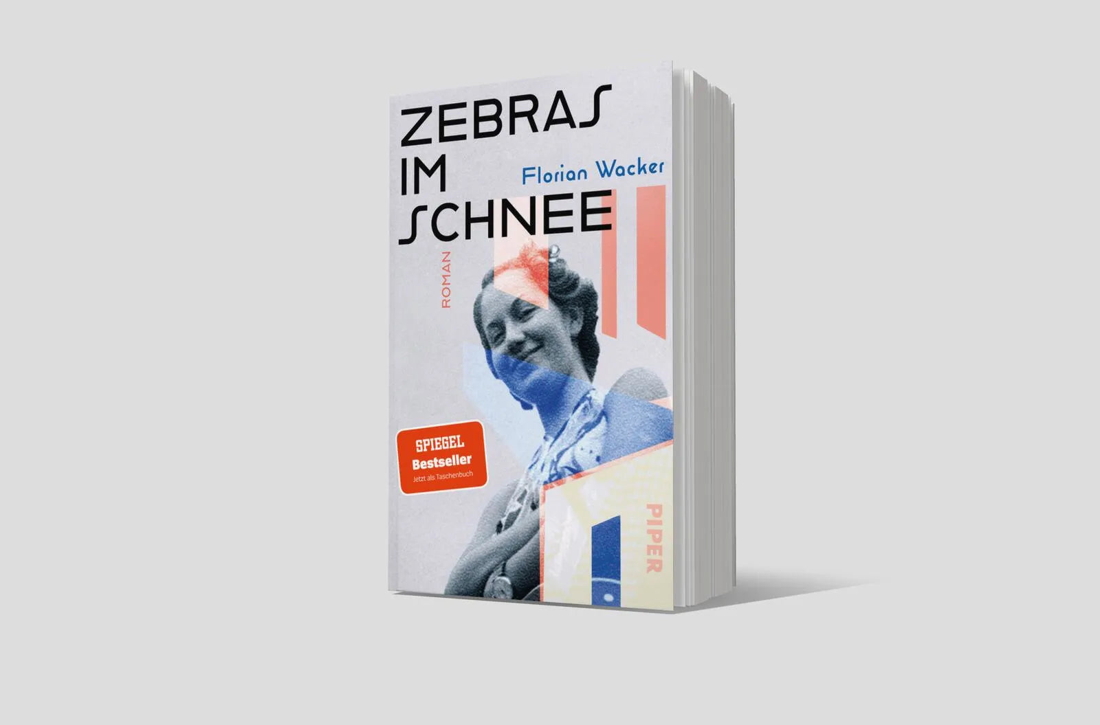 Abbildung von 'Zebras im Schnee'