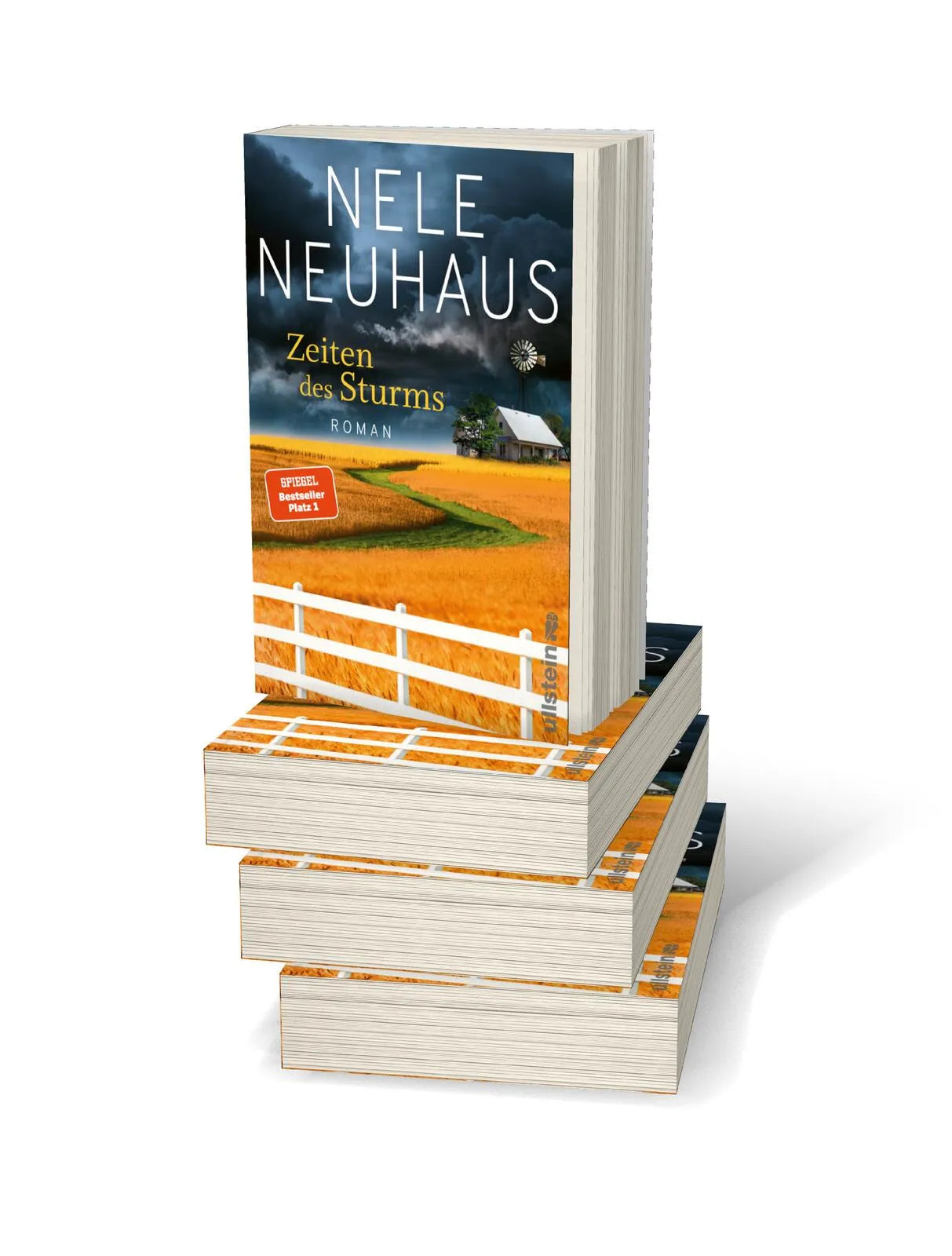 Abbildung von 'Zeiten des Sturms'