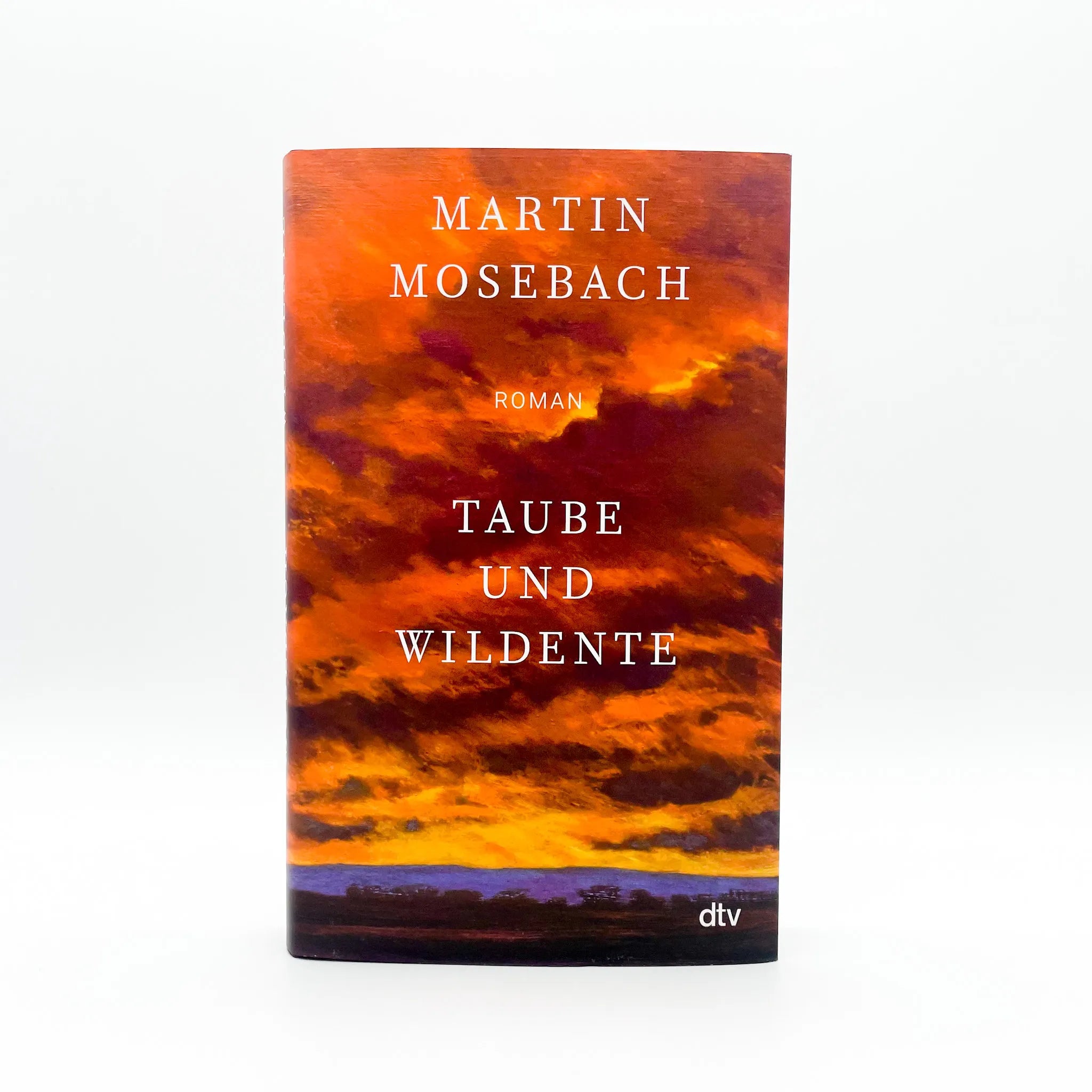 Martin Mosebach - Taube und Wildente