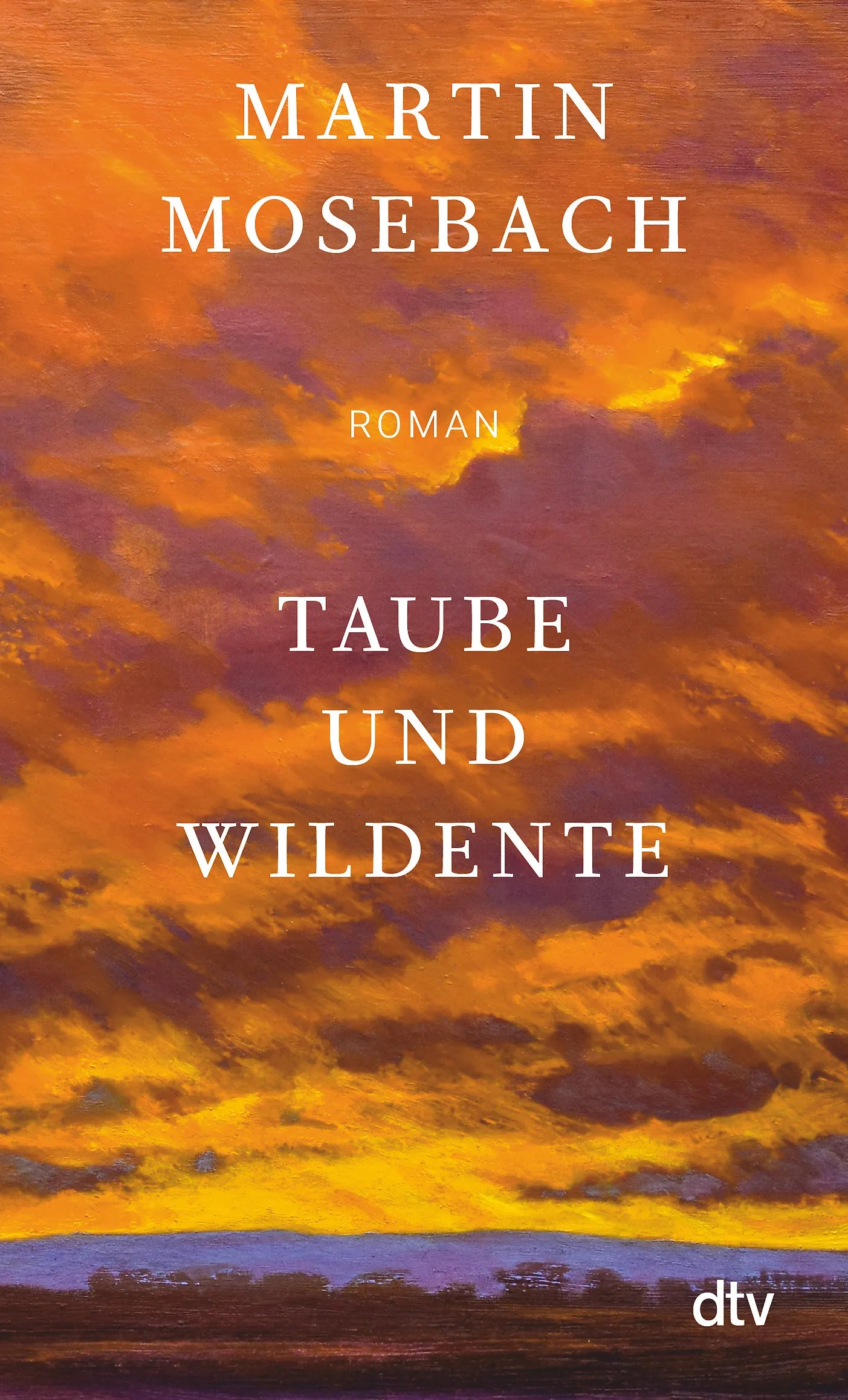 Buchcover von 'Taube und Wildente' - Taschenbuch von Martin Mosebach
