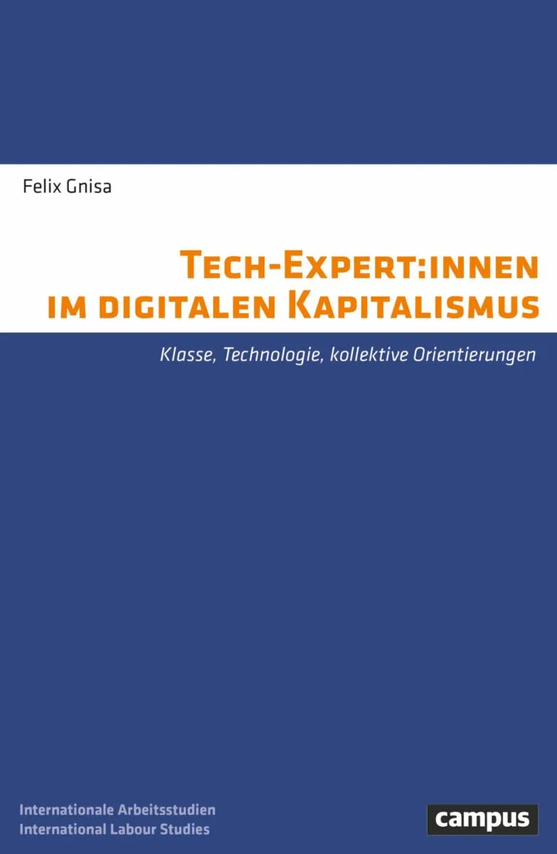 Cover: Tech-Expert:innen im digitalen Kapitalismus (E-Book) von Felix Gnisa