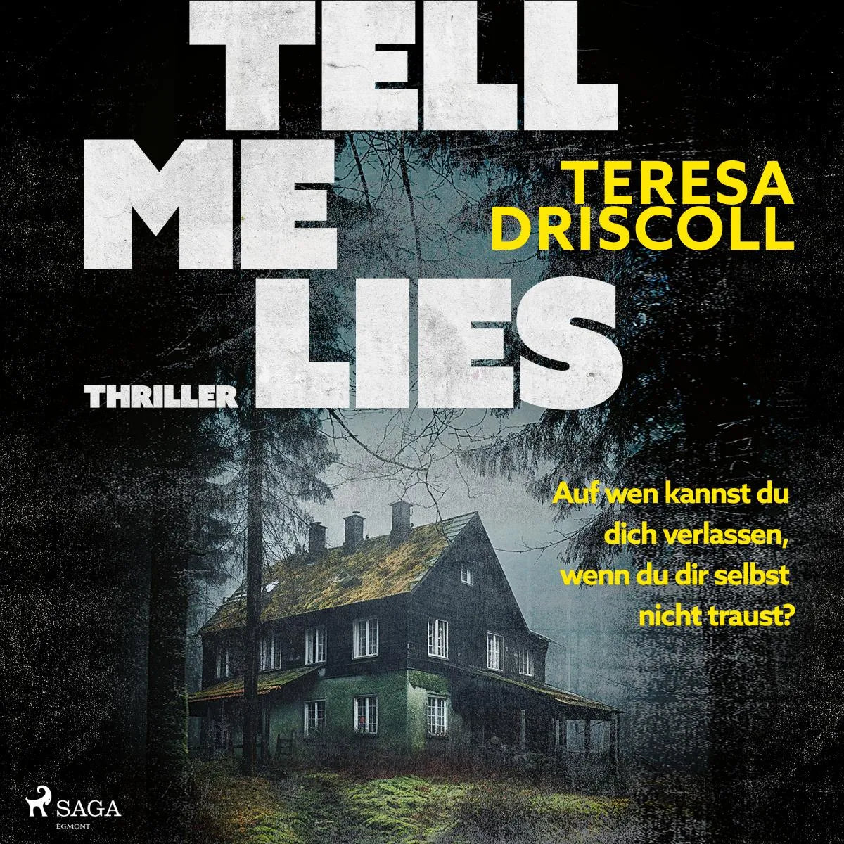 Cover: Tell Me Lies (Hörbuch Download) von Teresa Driscoll