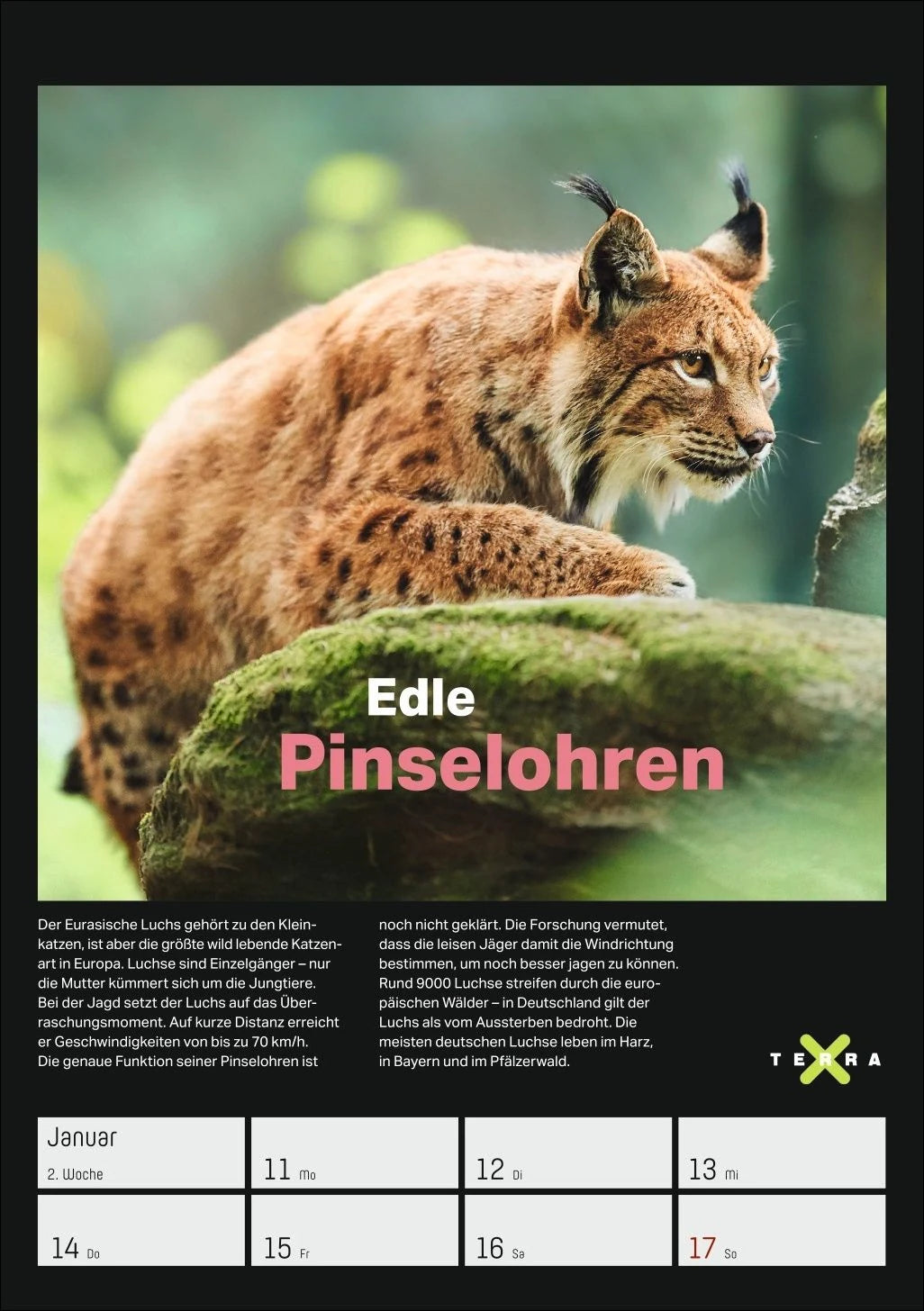 Terra X – Das Wunder Erde Wochenplaner 2027 – Ansicht