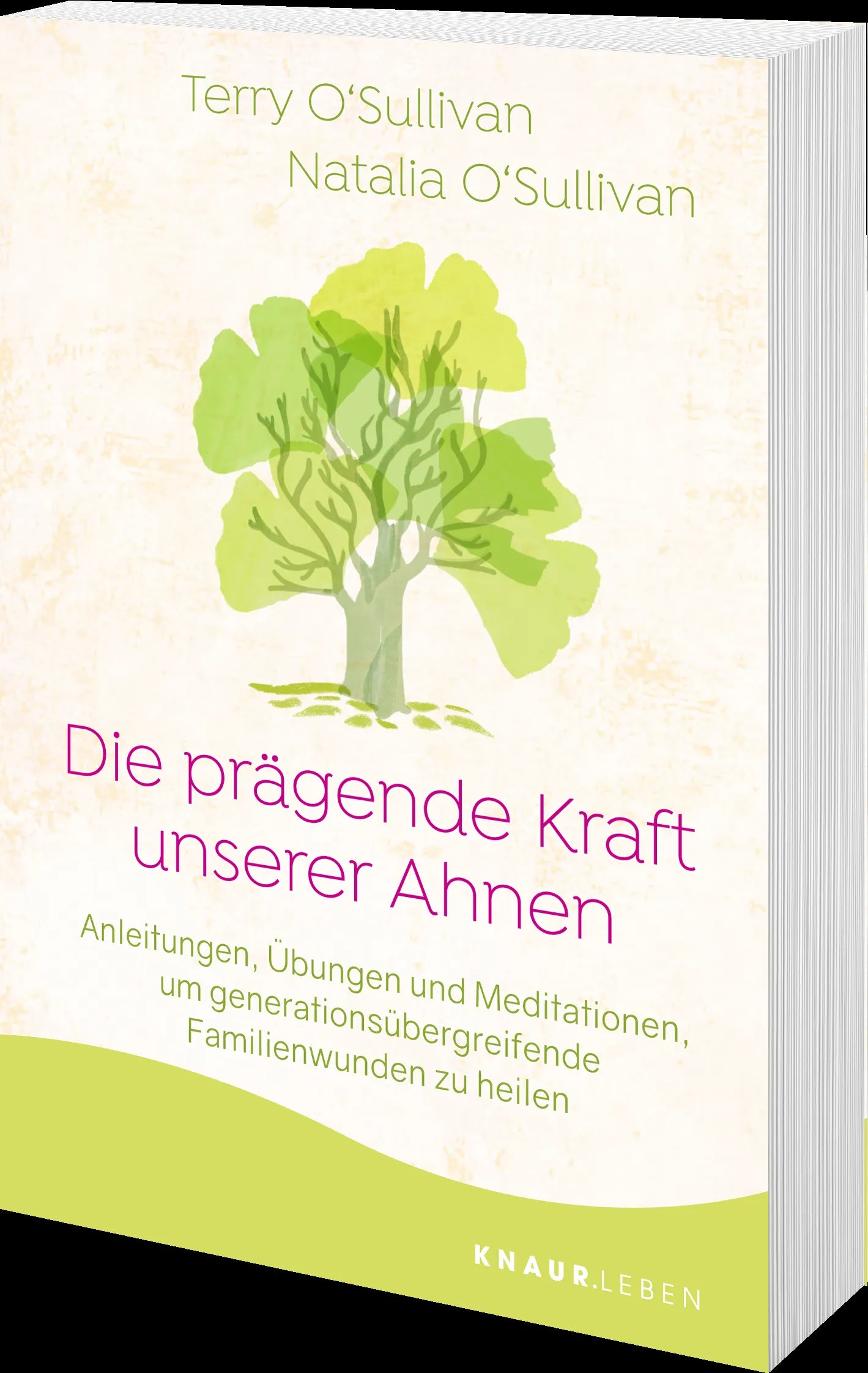 Produktansicht: Die prägende Kraft unserer Ahnen (Taschenbuch)