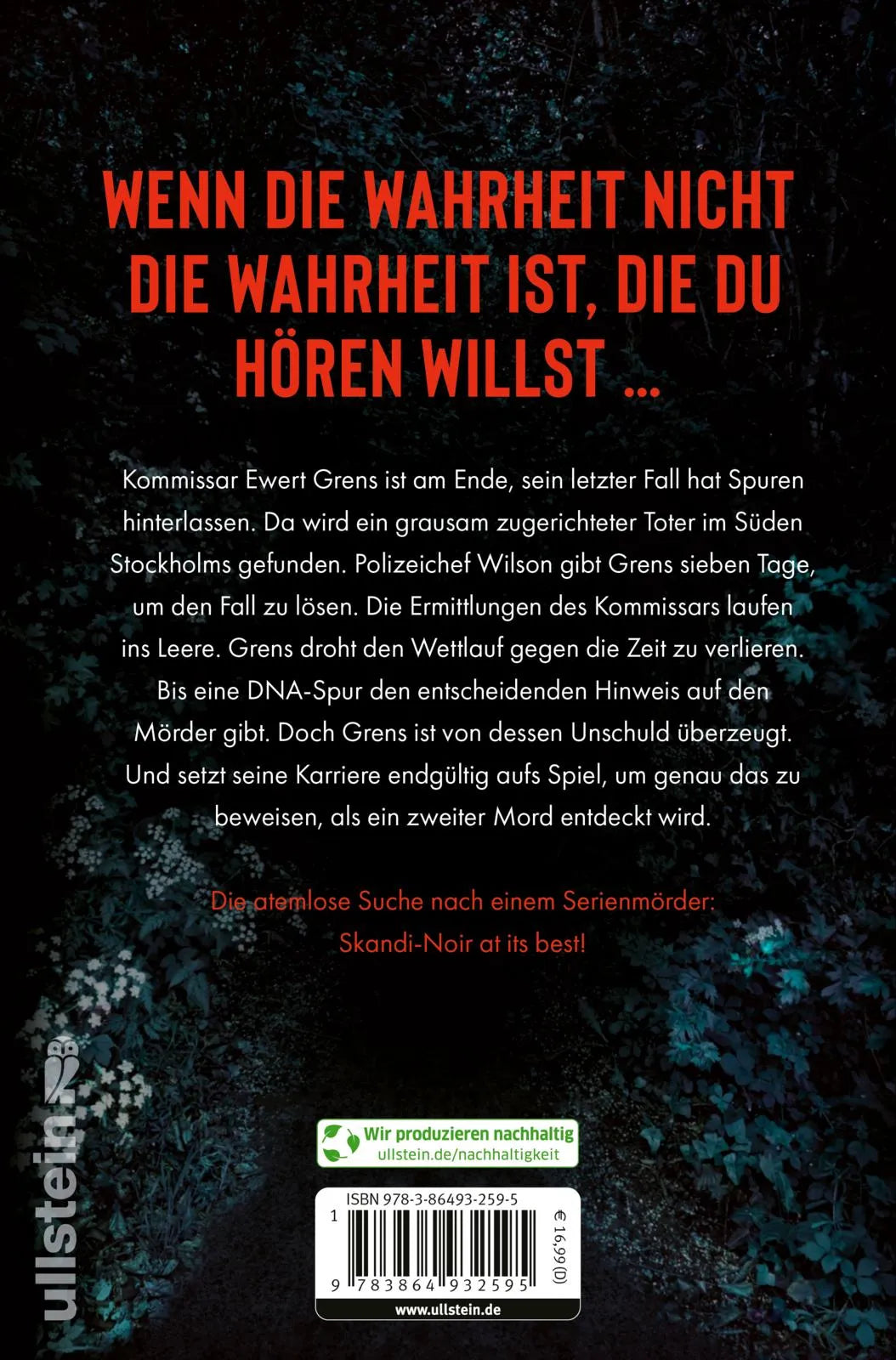 Buchrückseite von 'Teufelsgabe' mit Klappentext - Paperback
