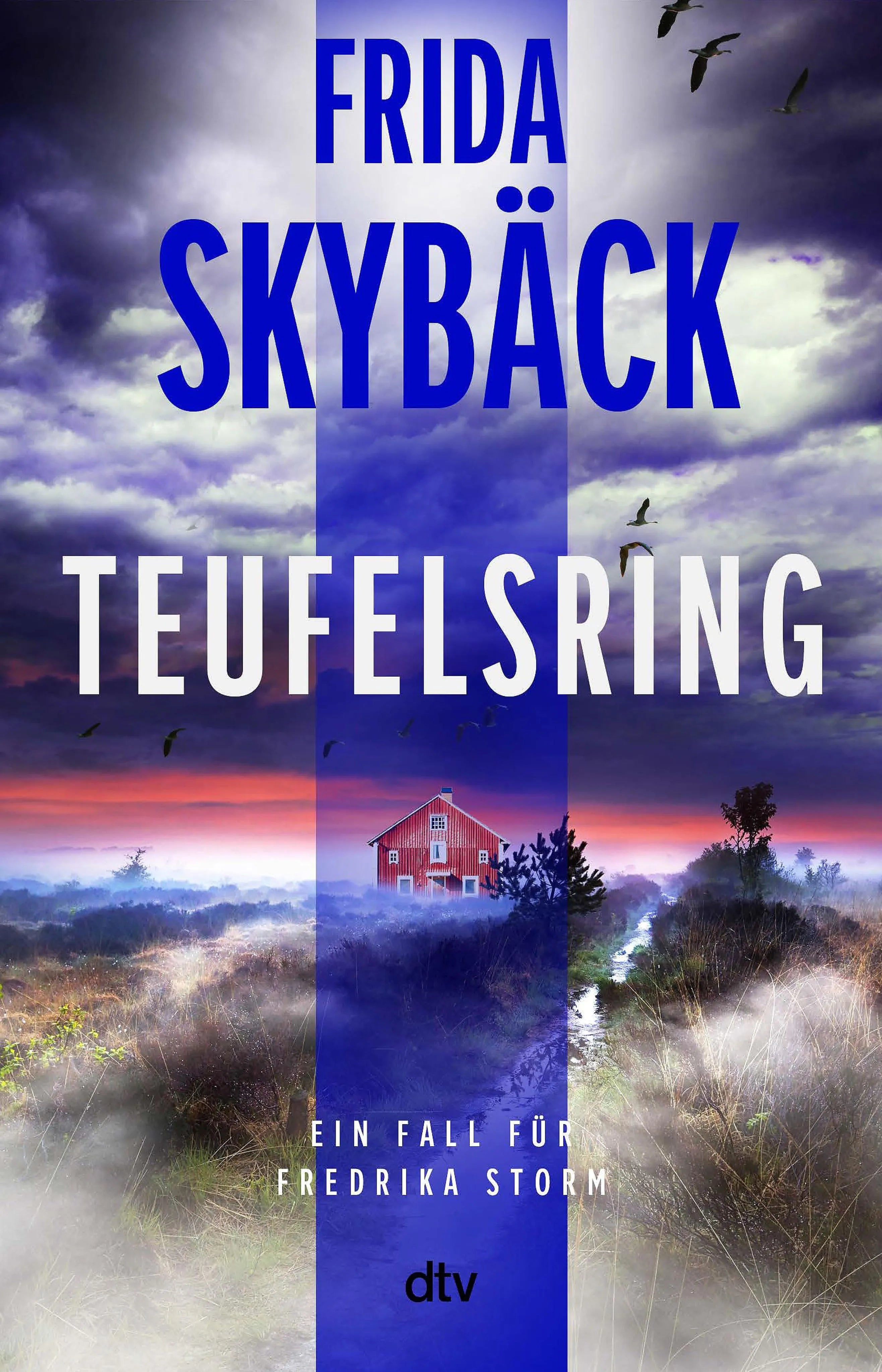Cover: Teufelsring (E-Book) von Frida Skybäck