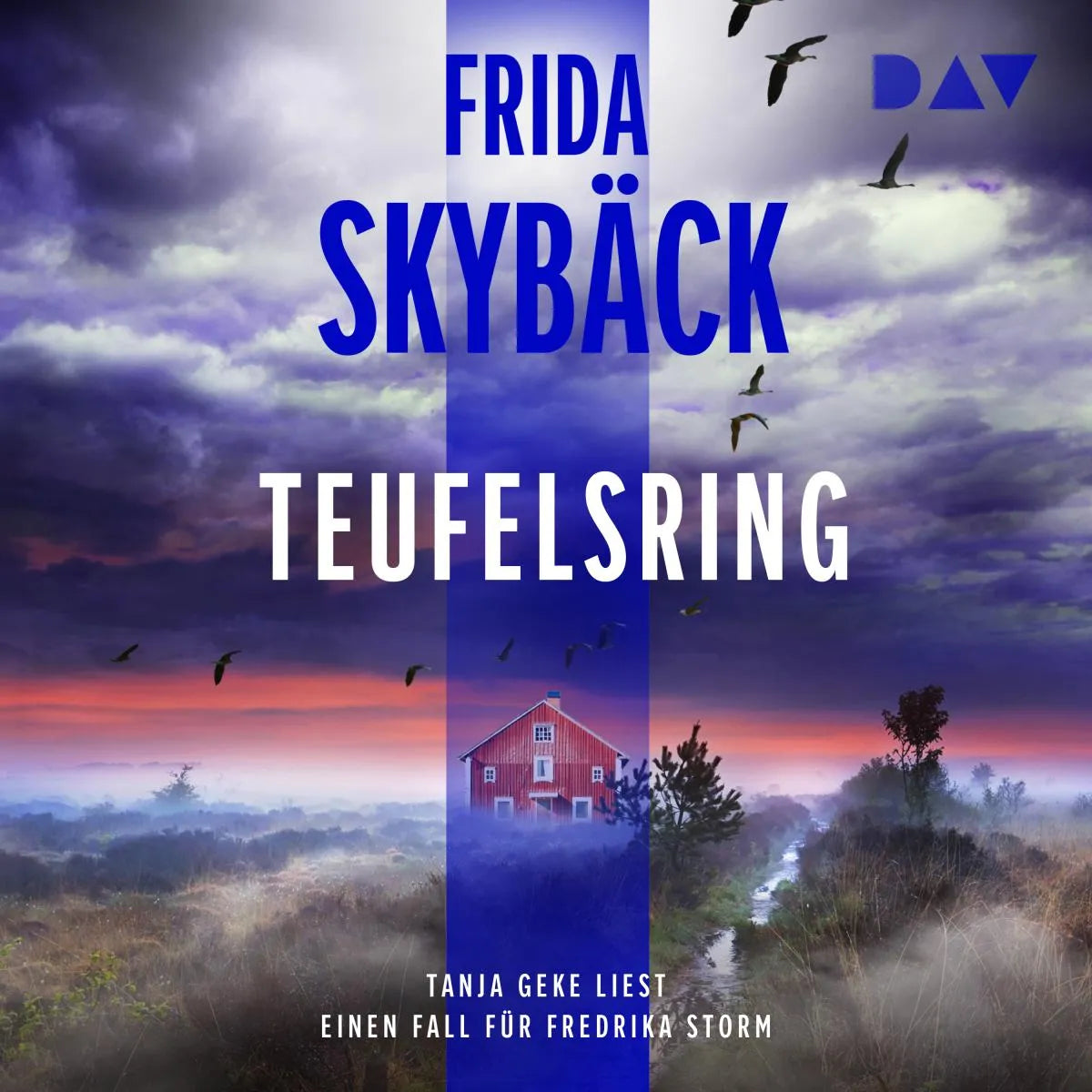 Cover: Teufelsring. Ein Fall für Fredrika Storm (Hörbuch Download) von Frida Skybäck