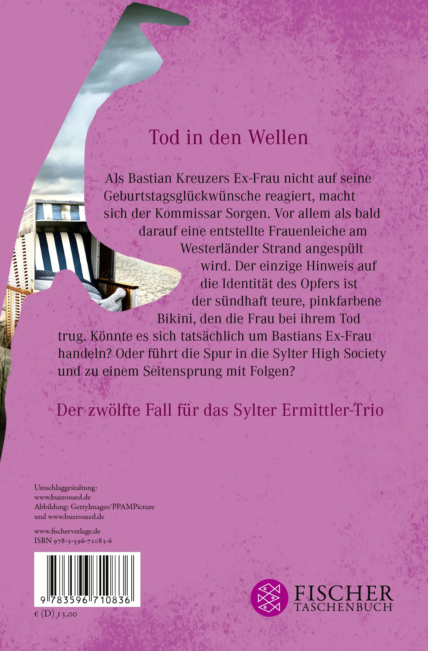 Buchrückseite von 'Teure Täuschung' mit Klappentext - Taschenbuch