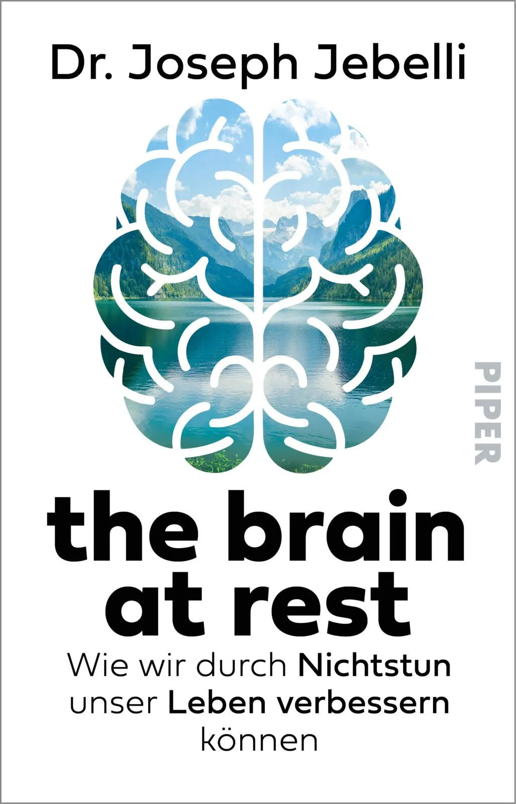 Cover: the brain at rest (Taschenbuch) von Joseph Jebelli