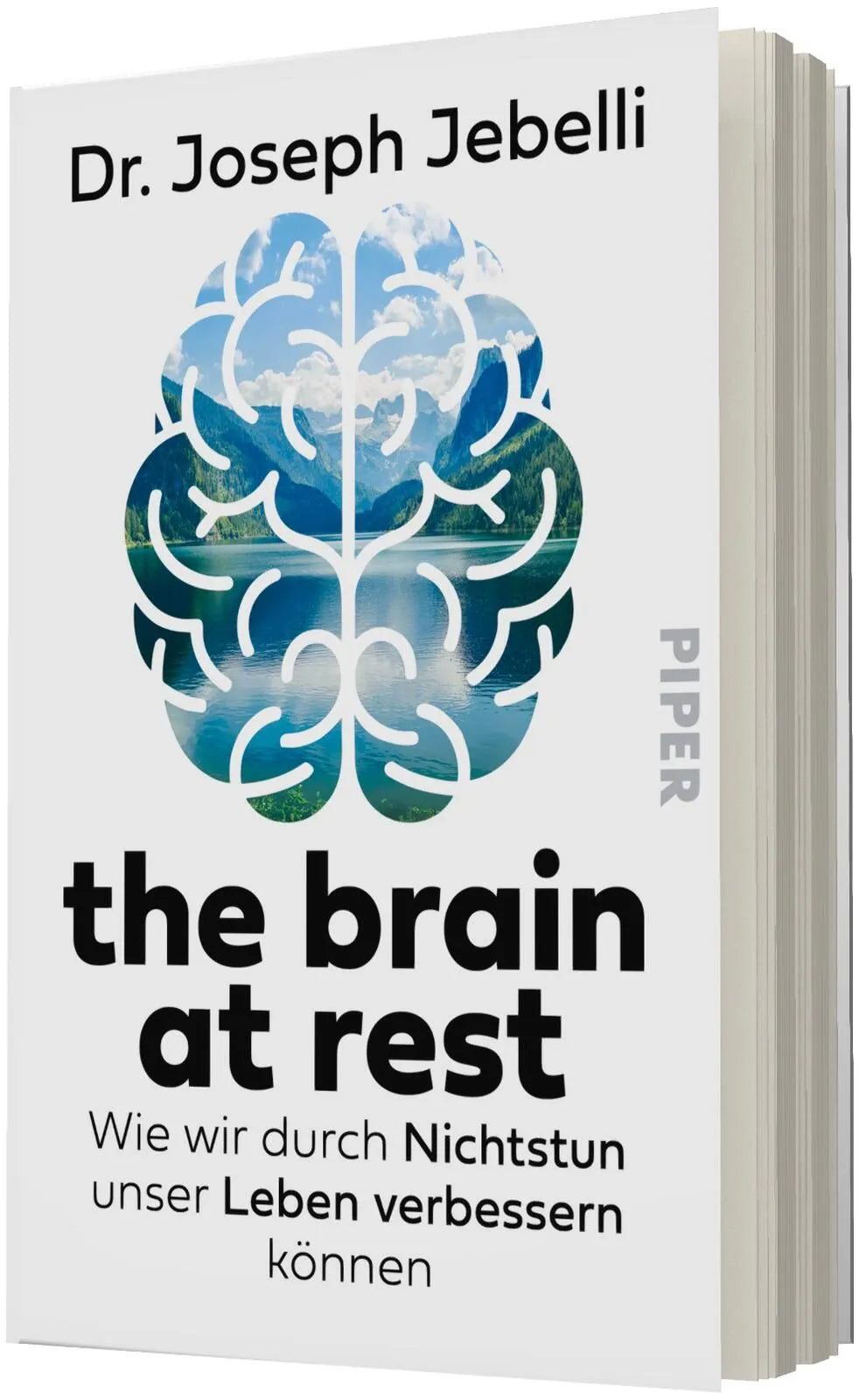 Detailansicht: the brain at rest (Taschenbuch)