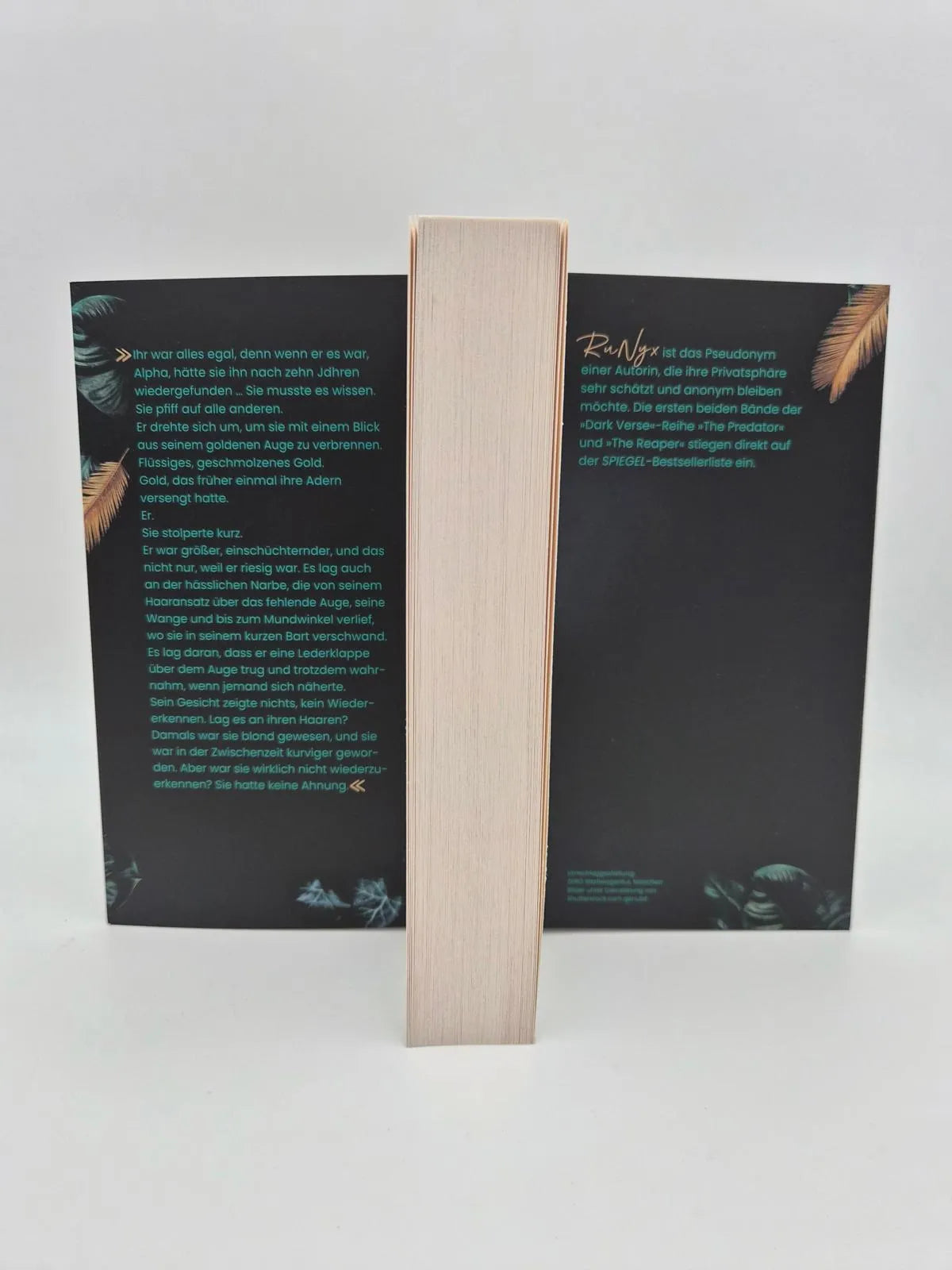 Detailansicht: The Finisher – Du bist sein Verhängnis (Paperback)