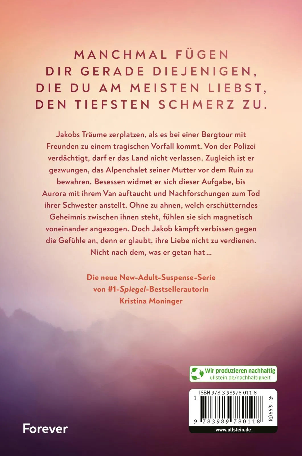 Buchrückseite von 'The First to Fall' mit Klappentext - Paperback