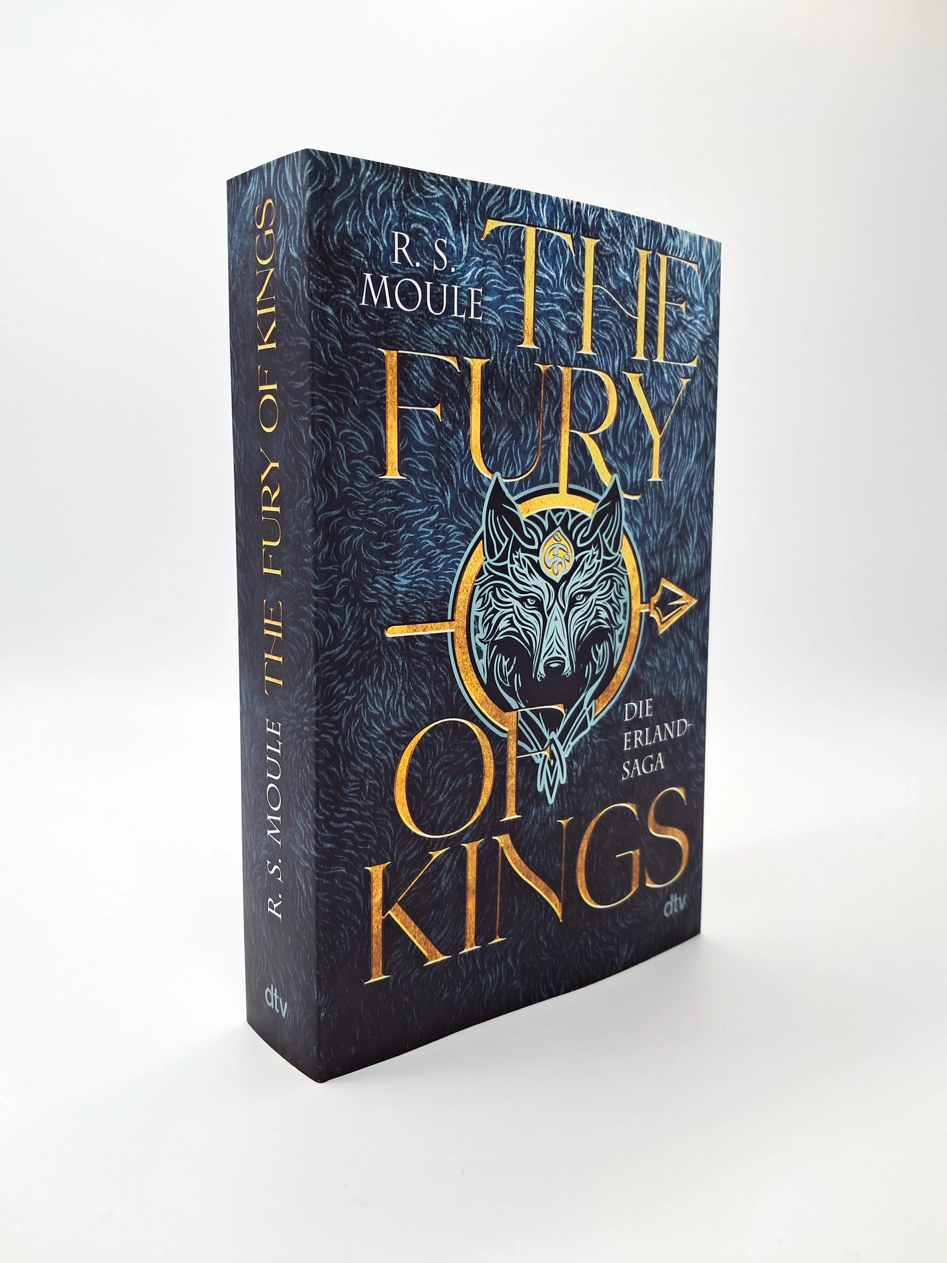 Abbildung von 'The Fury of Kings'