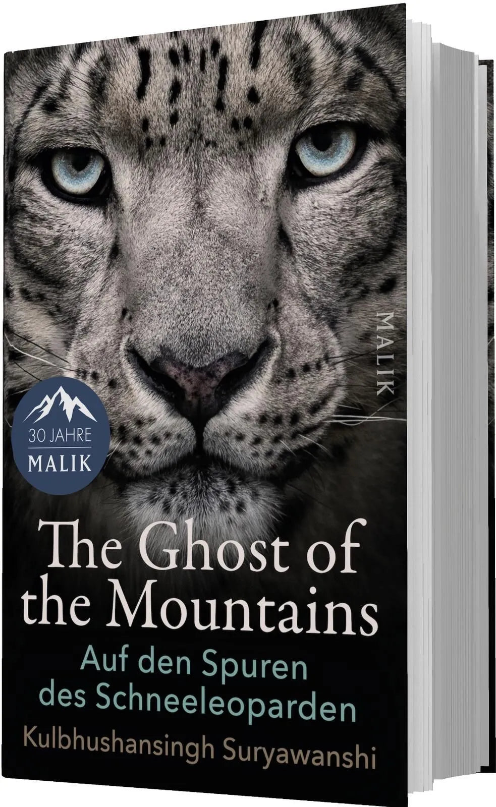 Detailansicht: The Ghost of the Mountains (Hardcover)