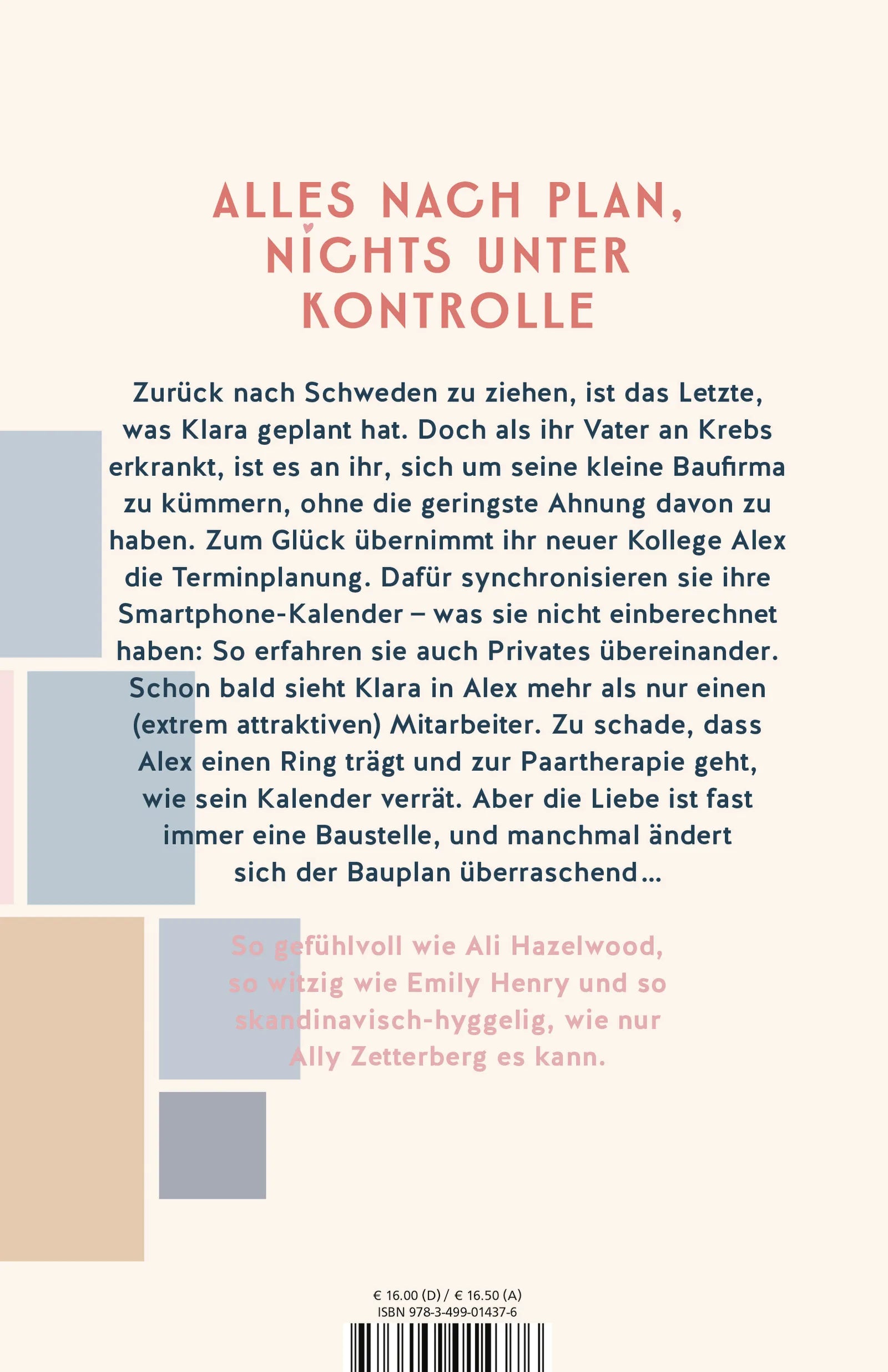 Buchrückseite von 'The Happiness Blueprint' mit Klappentext - Paperback