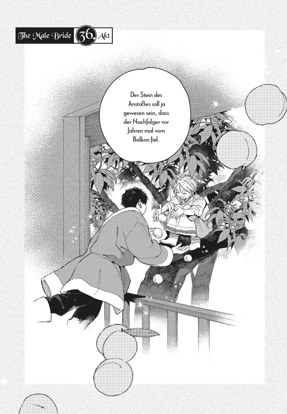 Detailansicht: The Male Bride 8 (Taschenbuch)
