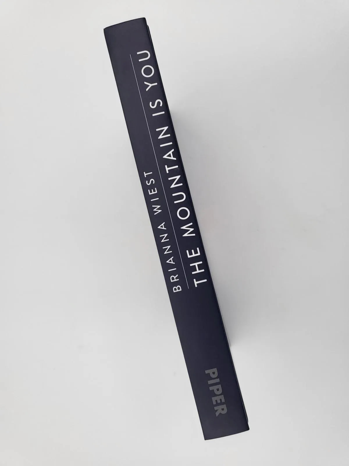 Detailansicht: The Mountain Is You (Hardcover)