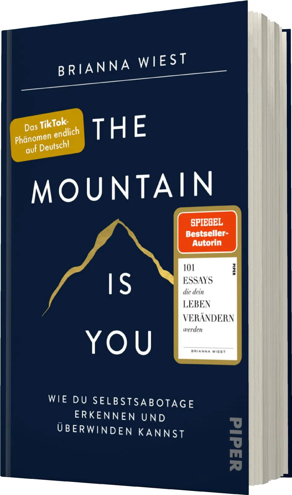 Detailansicht: The Mountain Is You (Hardcover)