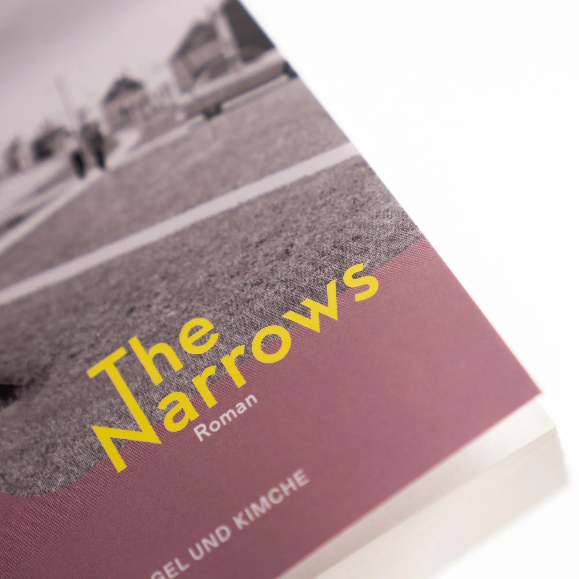 Produktansicht: The Narrows (Taschenbuch)