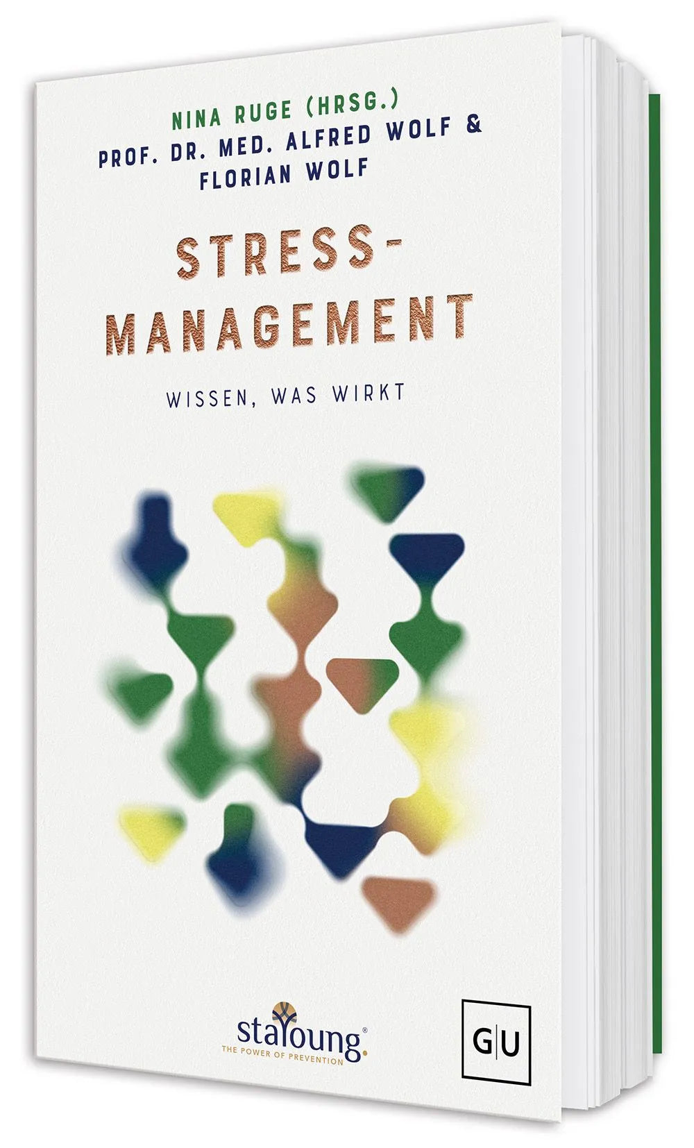 Cover: The Power of Prevention: Stressmanagement (Hardcover) von Alfred Wolf