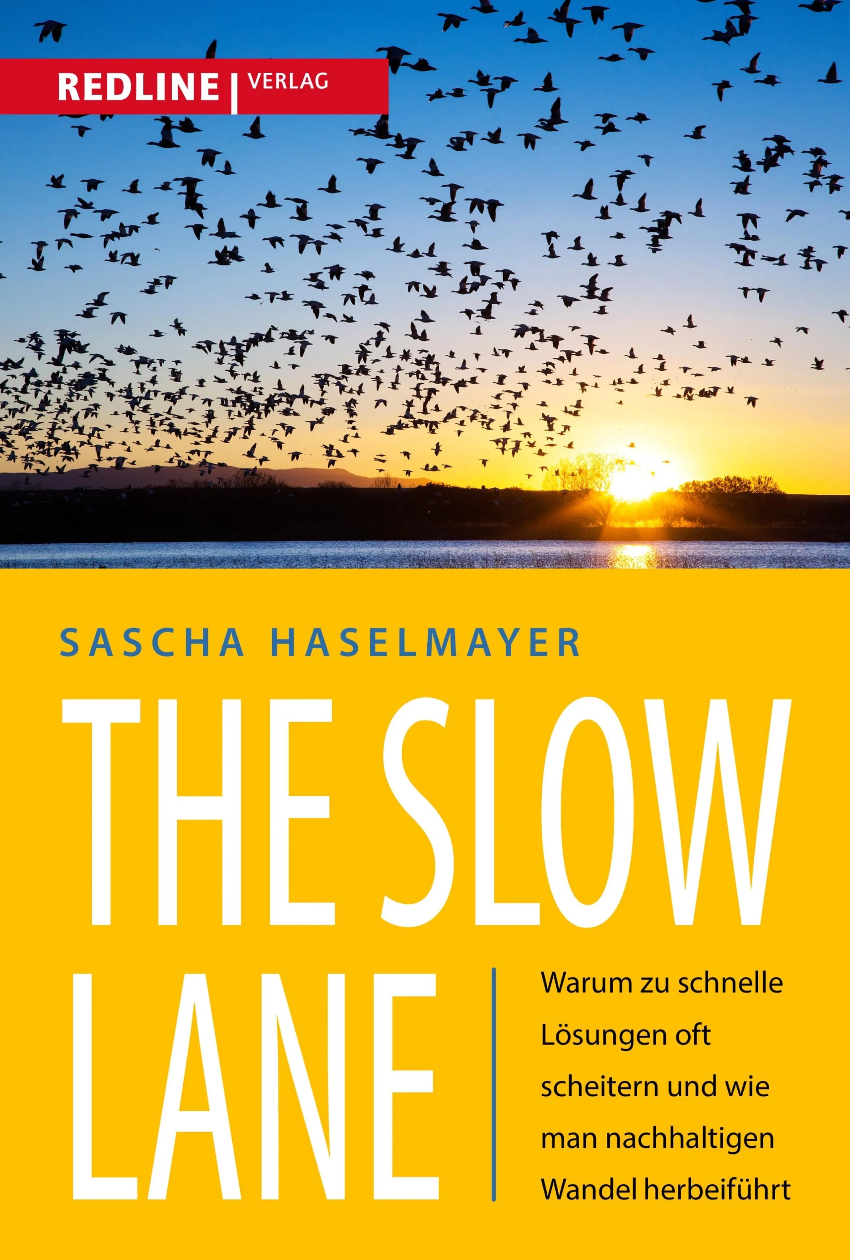 Cover: The Slow Lane (E-Book) von Sascha Haselmayer