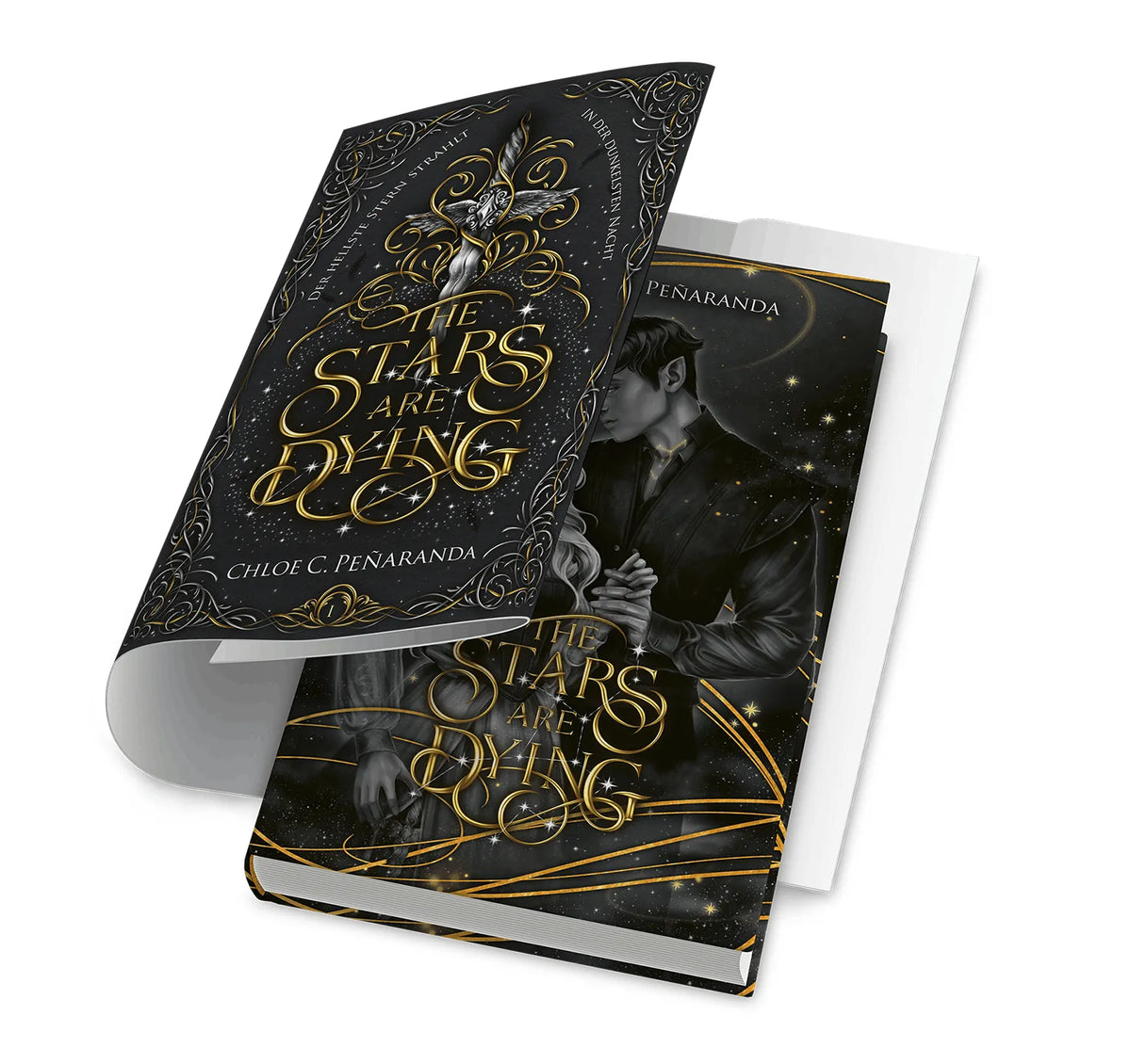 Detailansicht: The Stars are Dying (Hardcover)