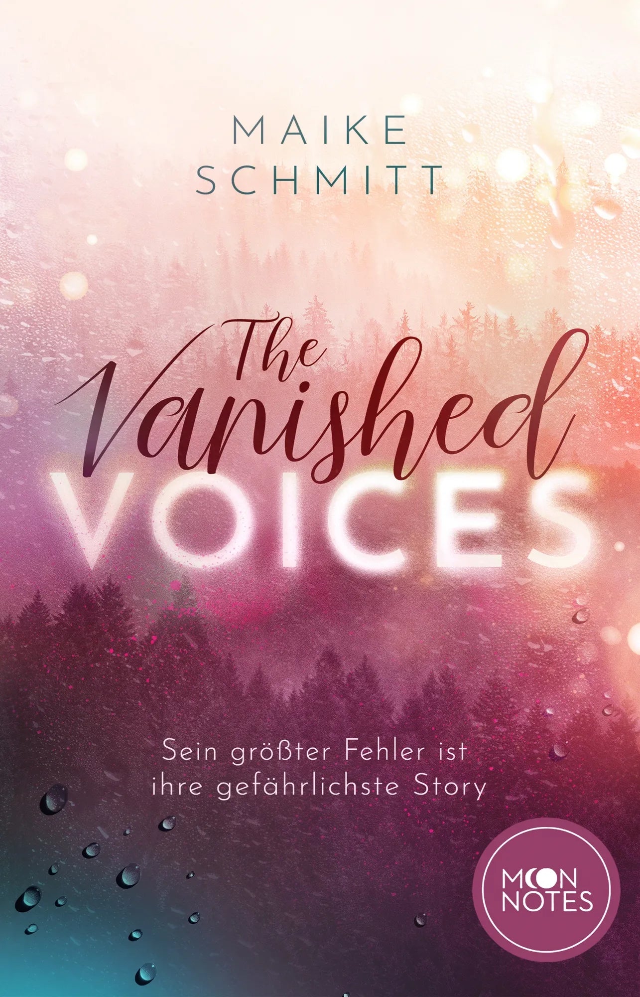 Cover: The Vanished Voices (Taschenbuch) von Maike Schmitt