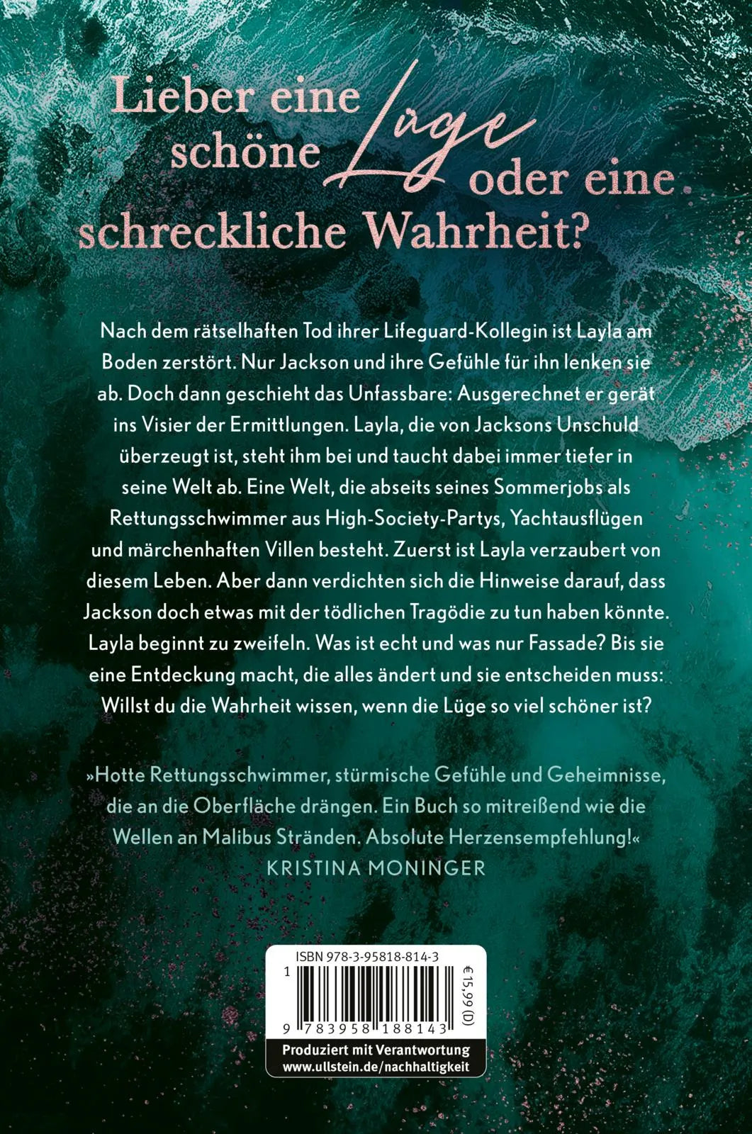 Buchrückseite von 'The waves that swept us away' mit Klappentext - Paperback