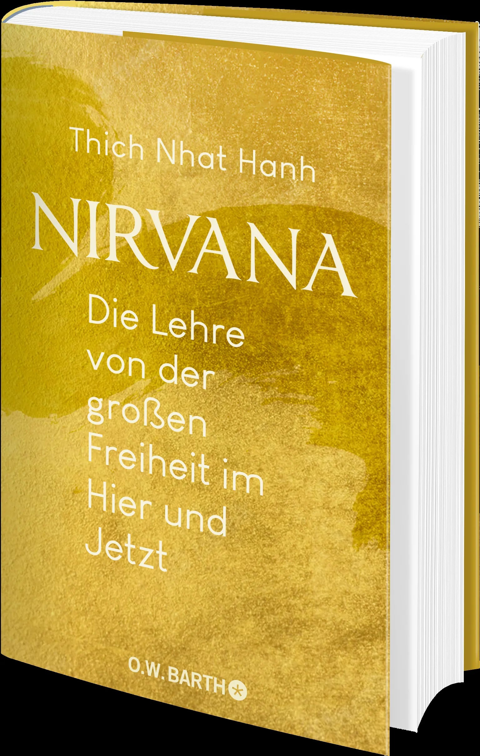 Produktansicht: Nirvana (Gebundene Ausgabe)