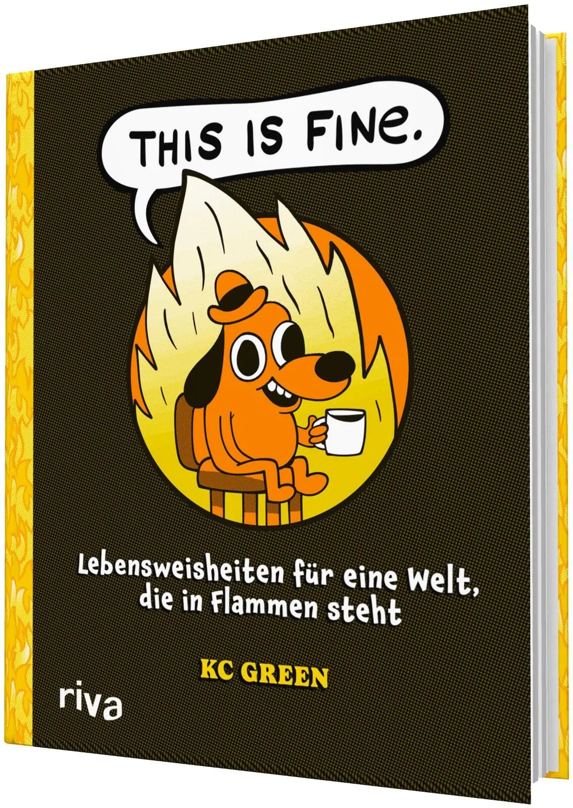 Detailansicht: This Is Fine (Hardcover)