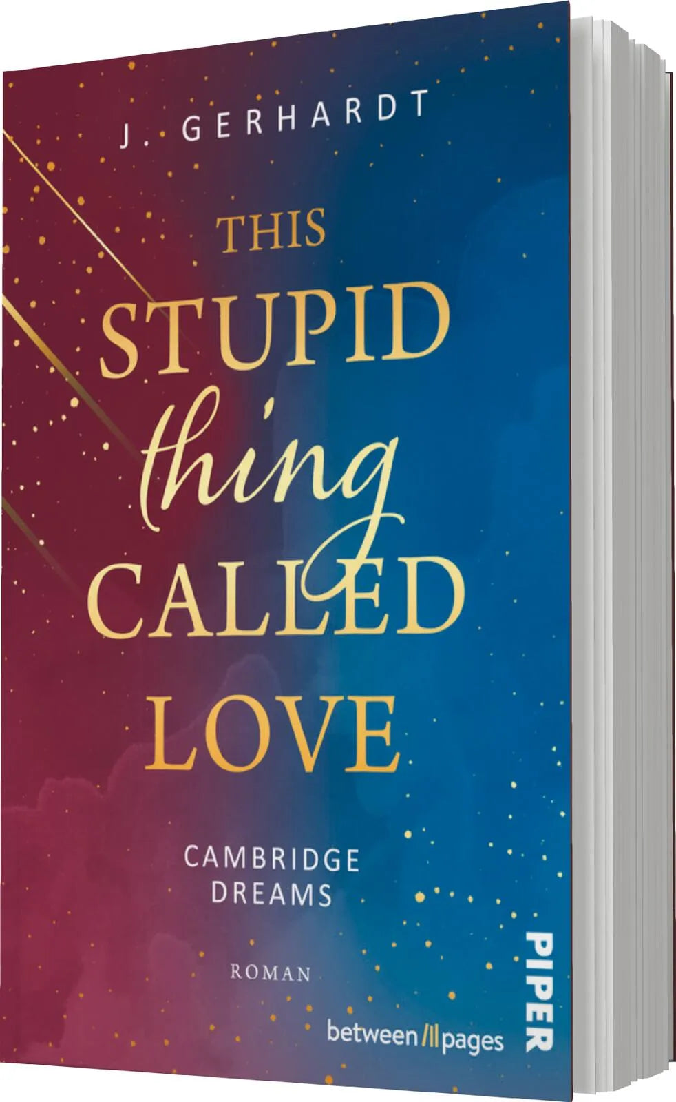 J. Gerhardt - This stupid Thing called Love