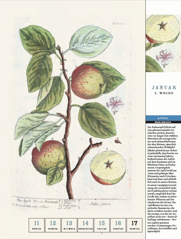 Thorbeckes heimisches Obst Kalender 2027 – Ansicht