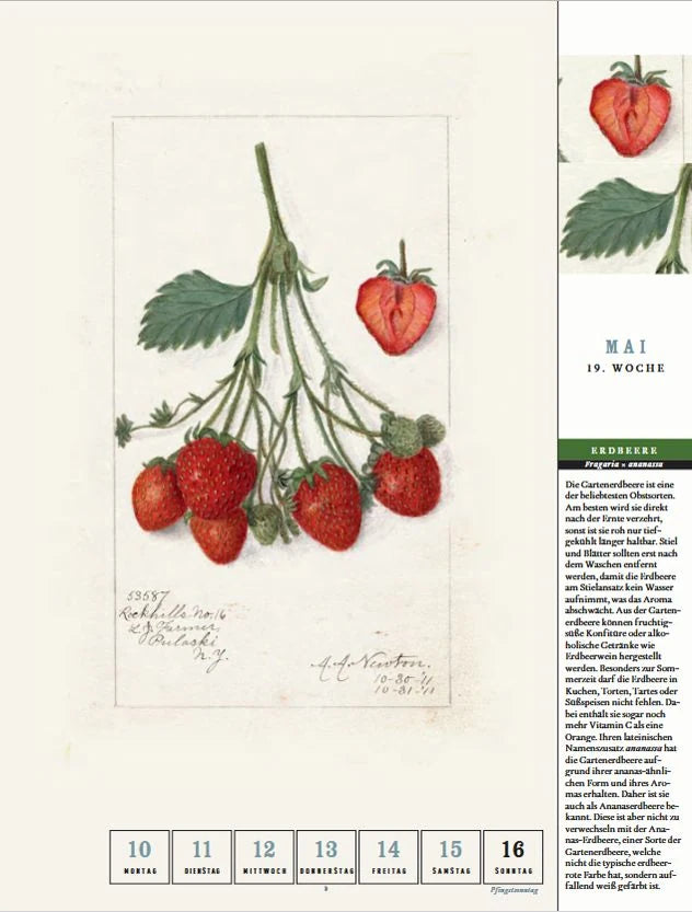 Thorbeckes heimisches Obst Kalender 2027 – Ansicht