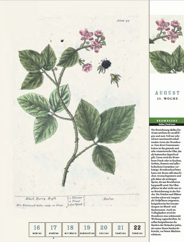 Thorbeckes heimisches Obst Kalender 2027 – Ansicht