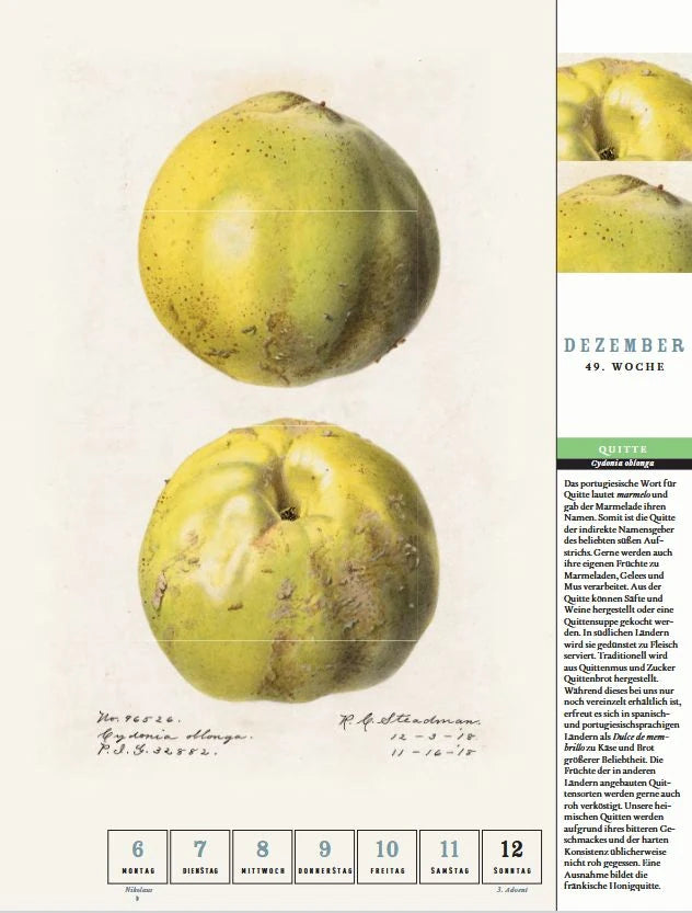 Thorbeckes heimisches Obst Kalender 2027 – Ansicht