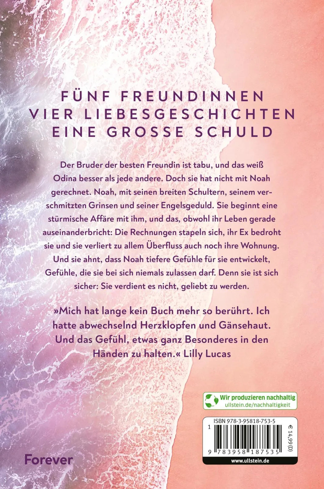 Buchrückseite von 'Three Tides to Stay' mit Klappentext - Paperback