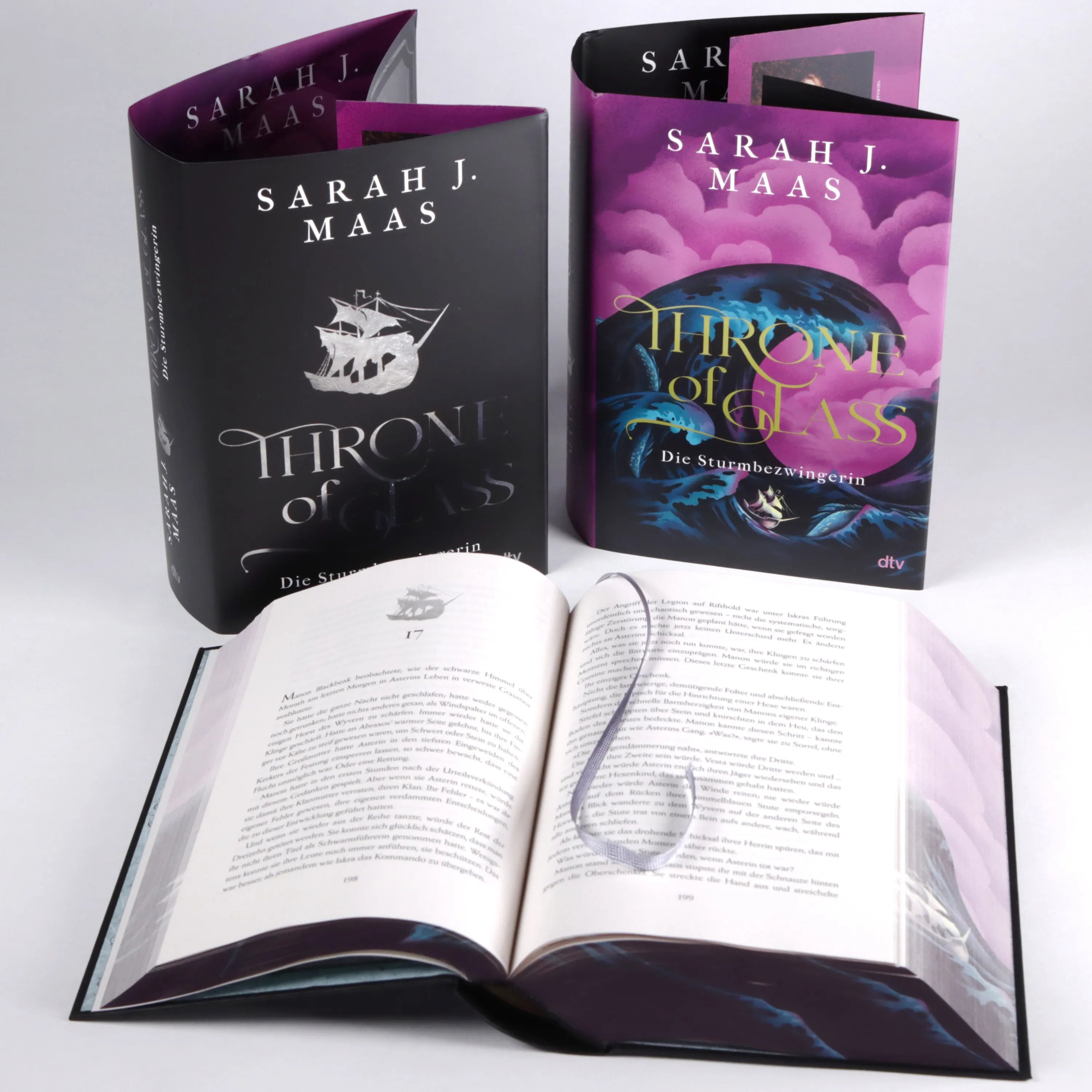 Abbildung von 'Throne of Glass – Die Sturmbezwingerin'