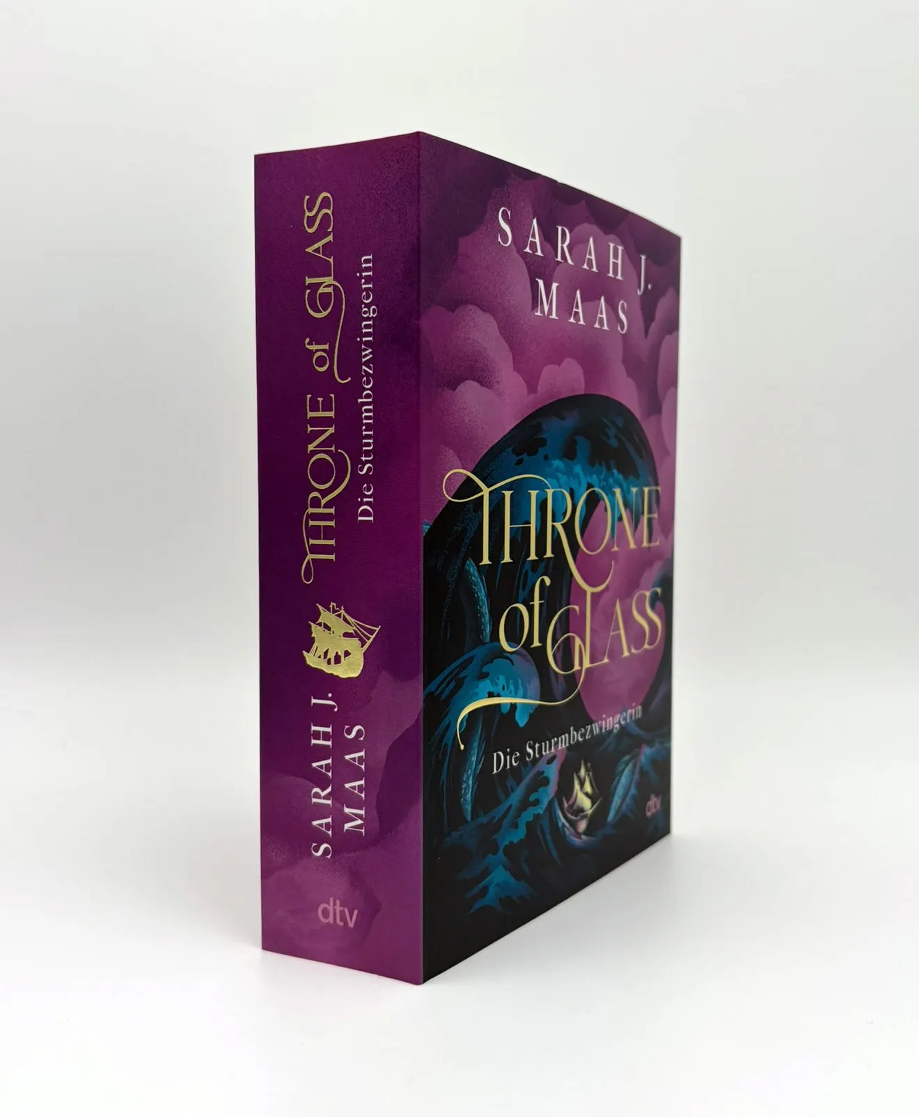 Abbildung von 'Throne of Glass – Die Sturmbezwingerin'