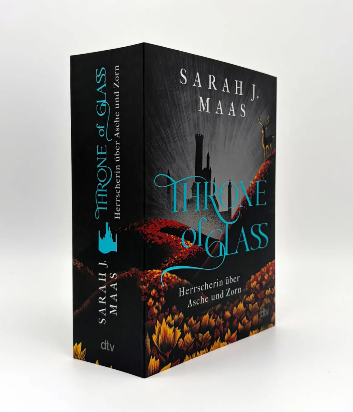 Produktansicht: Throne of Glass – Herrscherin über Asche und Zorn (Taschenbuch)