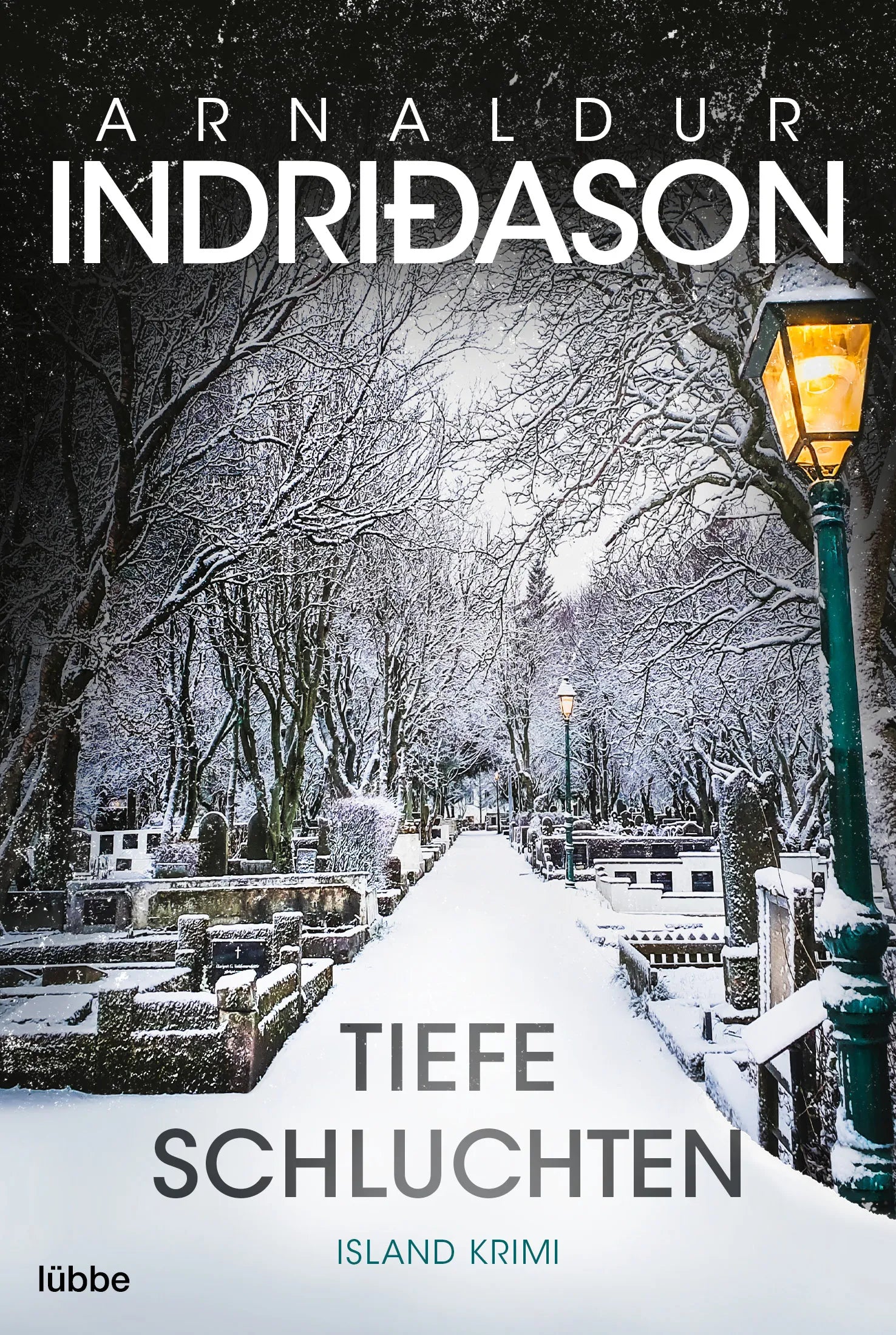 Buchcover von 'Tiefe Schluchten' - Taschenbuch von Arnaldur Indriðason