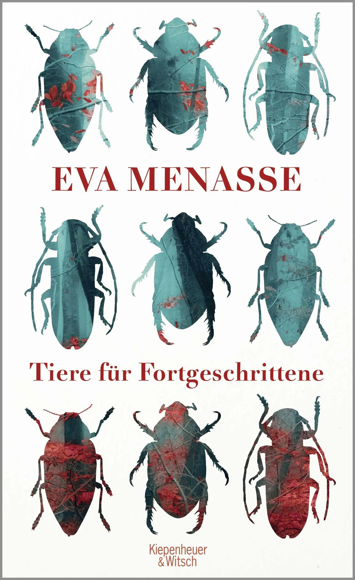 Buchcover von 'Tiere für Fortgeschrittene' - Gebundene Ausgabe von Eva Menasse