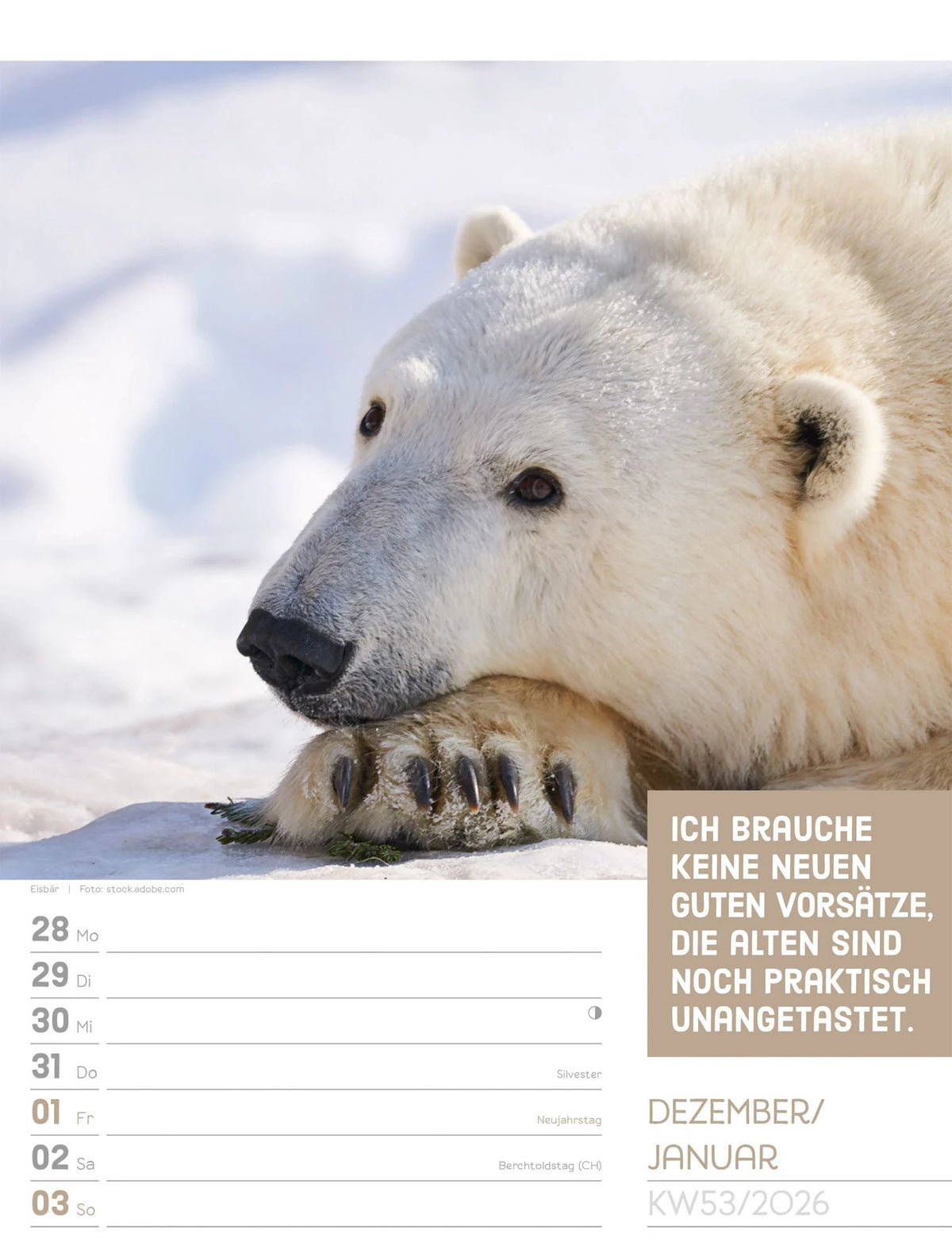 Tierisch Sprüchekalender Wochenplaner 2027 – Ansicht