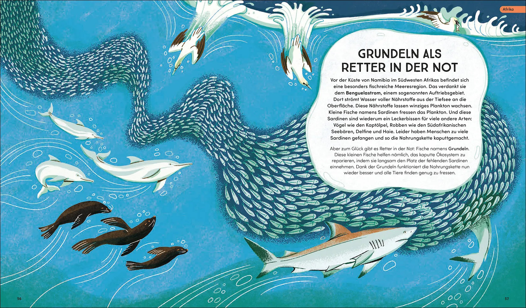 Detailansicht: Tierisch wichtig! (Hardcover)