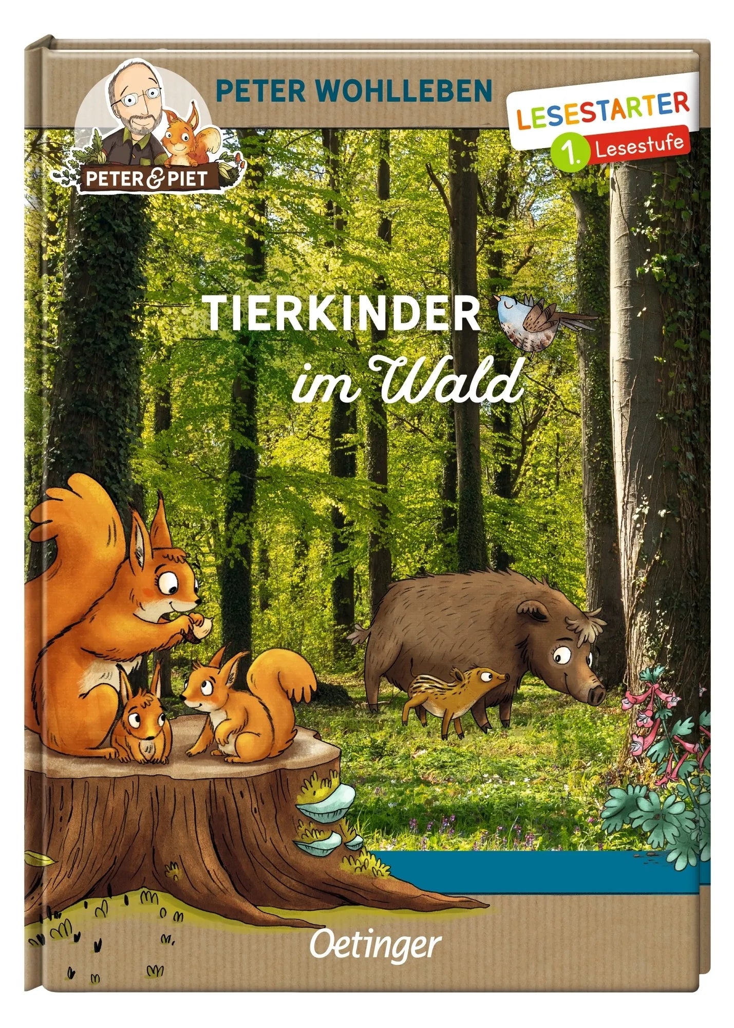 Produktansicht: Tierkinder im Wald (Gebundene Ausgabe)